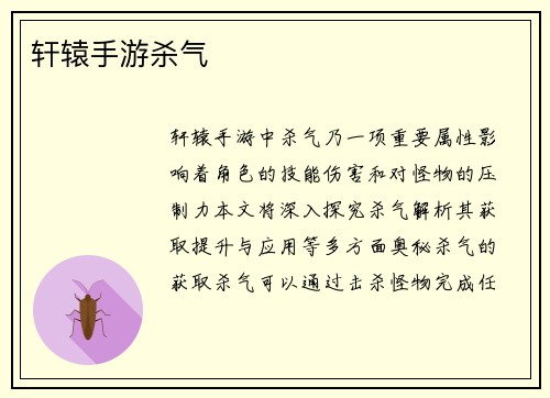 轩辕手游杀气